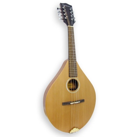 Mandolina Ashbury AM-140                                    