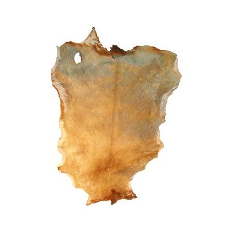 Pell de cabra rapada                                        