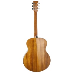 Acoustic Guitar Daytona Exotic mini-jumbo                    2