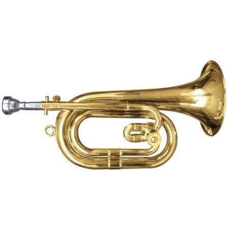 Corneta ACADEMY DO-REB c/funda                              