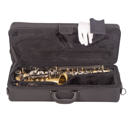 Saxo alto J.Michael BPAL1100AG                              