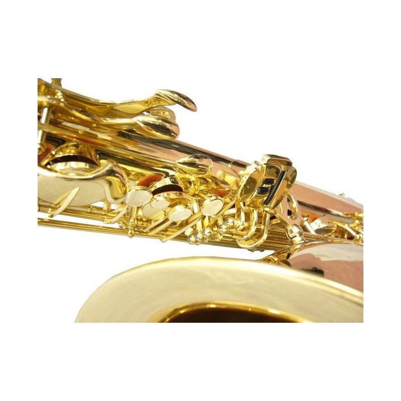 Saxo Bariton J.Michael...