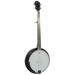 Daytona 5 strings banjo...