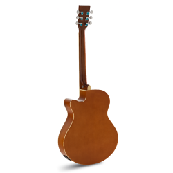 Acoustic guitar Indiana Mini Jumbo Natural sunburst          2