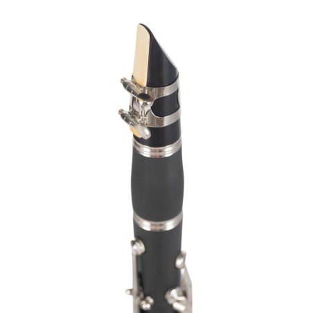 Clarinete Sib Amadeus                                       