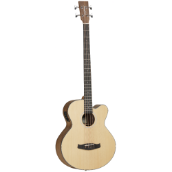 Tanglewood acoustic bass...