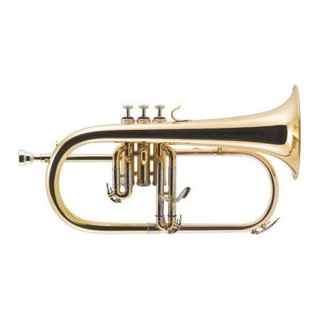 Fliscorn J.Michael FG500                                    