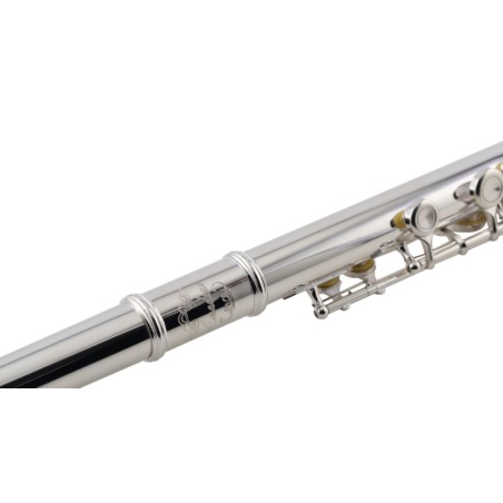 Flauta travessera Amadeus plateadea                         