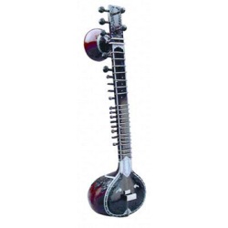 Sitar profesional                                            2