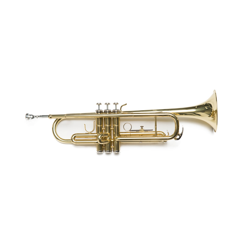 Golden trumpet Amadeus                                      