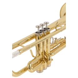 Trompeta daurada Amadeus 2