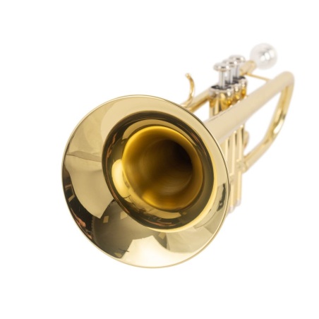 Trompeta daurada Amadeus
