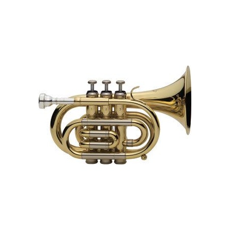 Pocket trumpet J.Michael Bb                                 