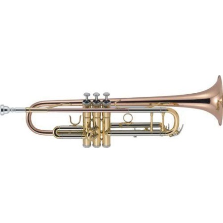 Trompeta J.Michael TR450                                    