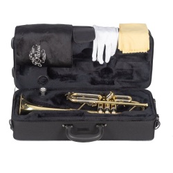 J.Michael trumpet in C                                       2