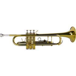 Trumpet J.Michael DO-SIB                                    