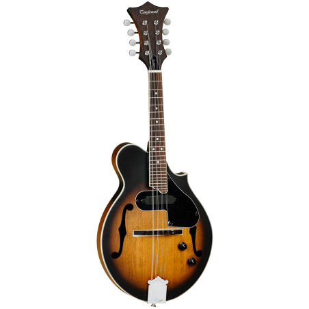 Mandolina Tanglewood                                        