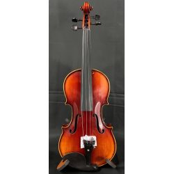 Violin Amadeus gloss...