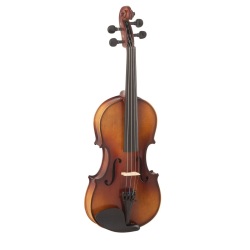Violin Carlo Giordano VS1...