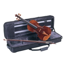 Violin CARLO GIORDANO VS2...