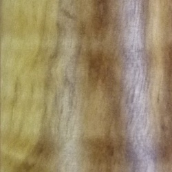 Soplador de olivo                                            2