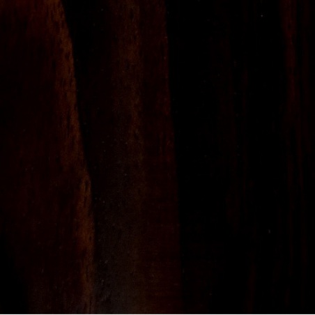 Dulzaina aragonesa granadillo wood                          