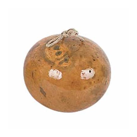 Calabaza para berimbau                                      