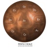 Steel tonguedrum Zenko penta-c 9 notas                      