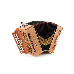 Acordeón Castagnari Viky                                    