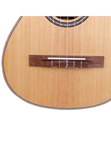 Guitarró Canigó...