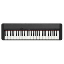 Teclado Casiotone Casiotone 64 teclas                        2