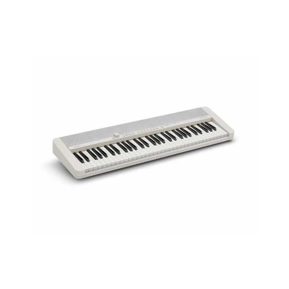 Casiotone CT-S1WE 64 keys                                   