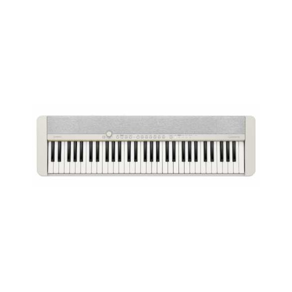 Casiotone CT-S1WE 64 keys                                   