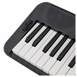 Teclado CASIOTONE 61 teclas                                  2