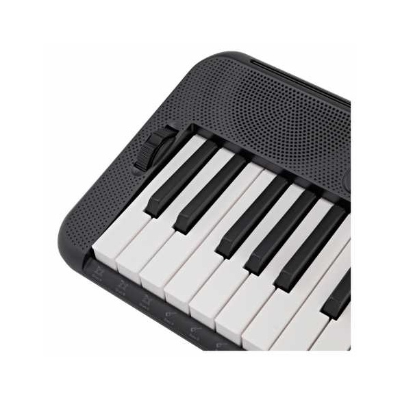 Teclado CASIOTONE 61 teclas                                 