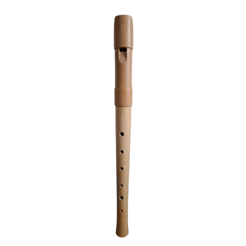 Aragon fingering flute C...