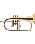 Brass instruments section