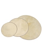 Skin drumheads with ring